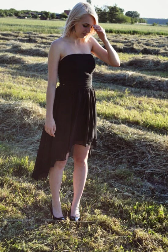 A-line Strapless Hi-low Length Chiffon Sleeveless Prom Dress - Image 5