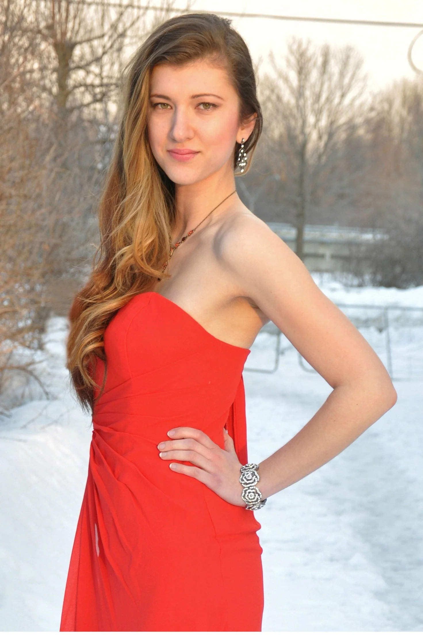 A-line Sweetheart Floor Length Chapel Chiffon Beaded Prom Dress - Image 9