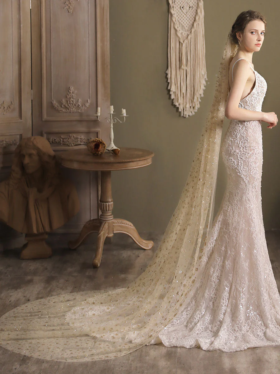 Champange Wedding Veil One-Tier Sequins Stars Tulle Finished Edge Waterfall Bridal Veils - Image 3