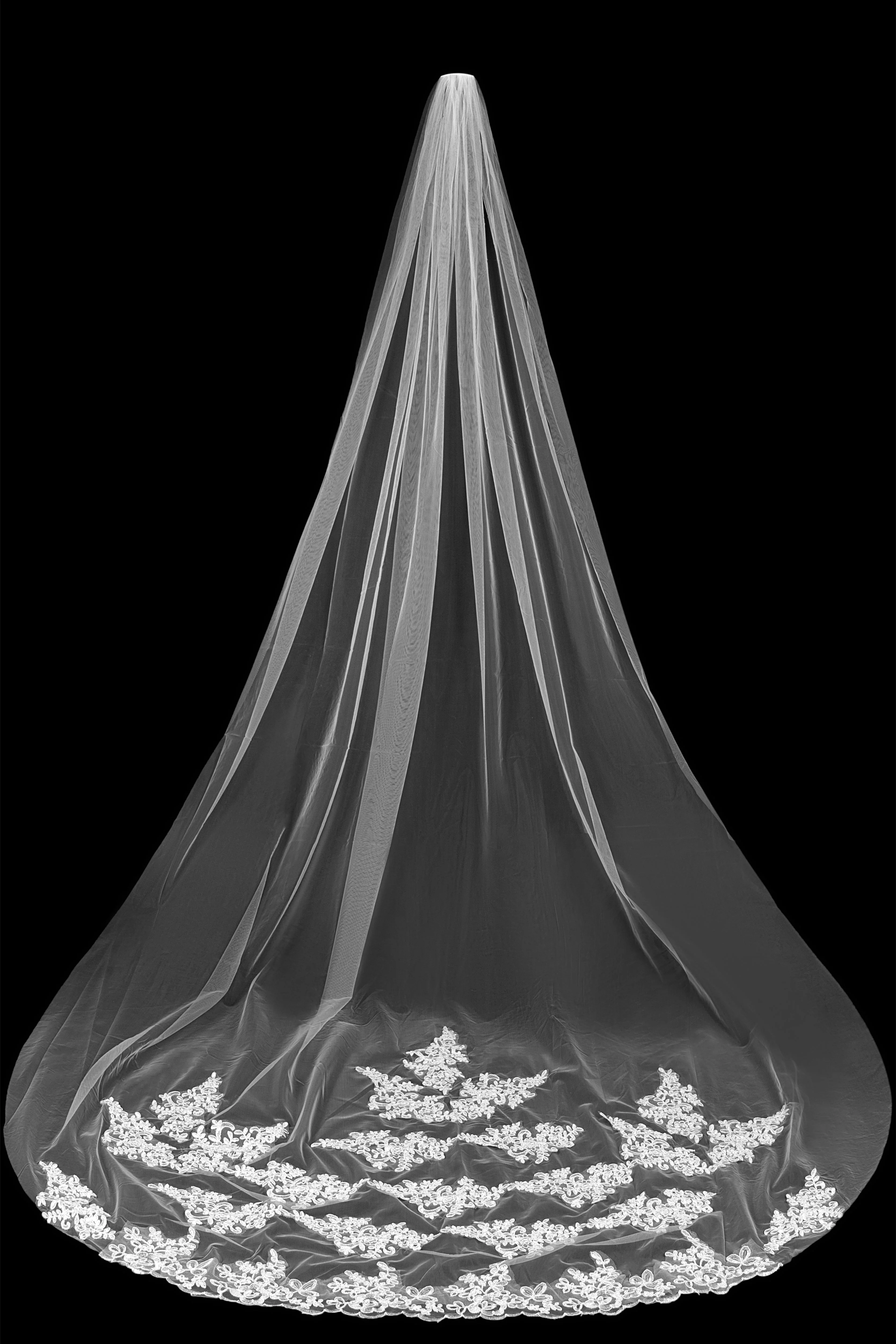 Delia Fancy Long Tulle Wedding Veil - Image 3