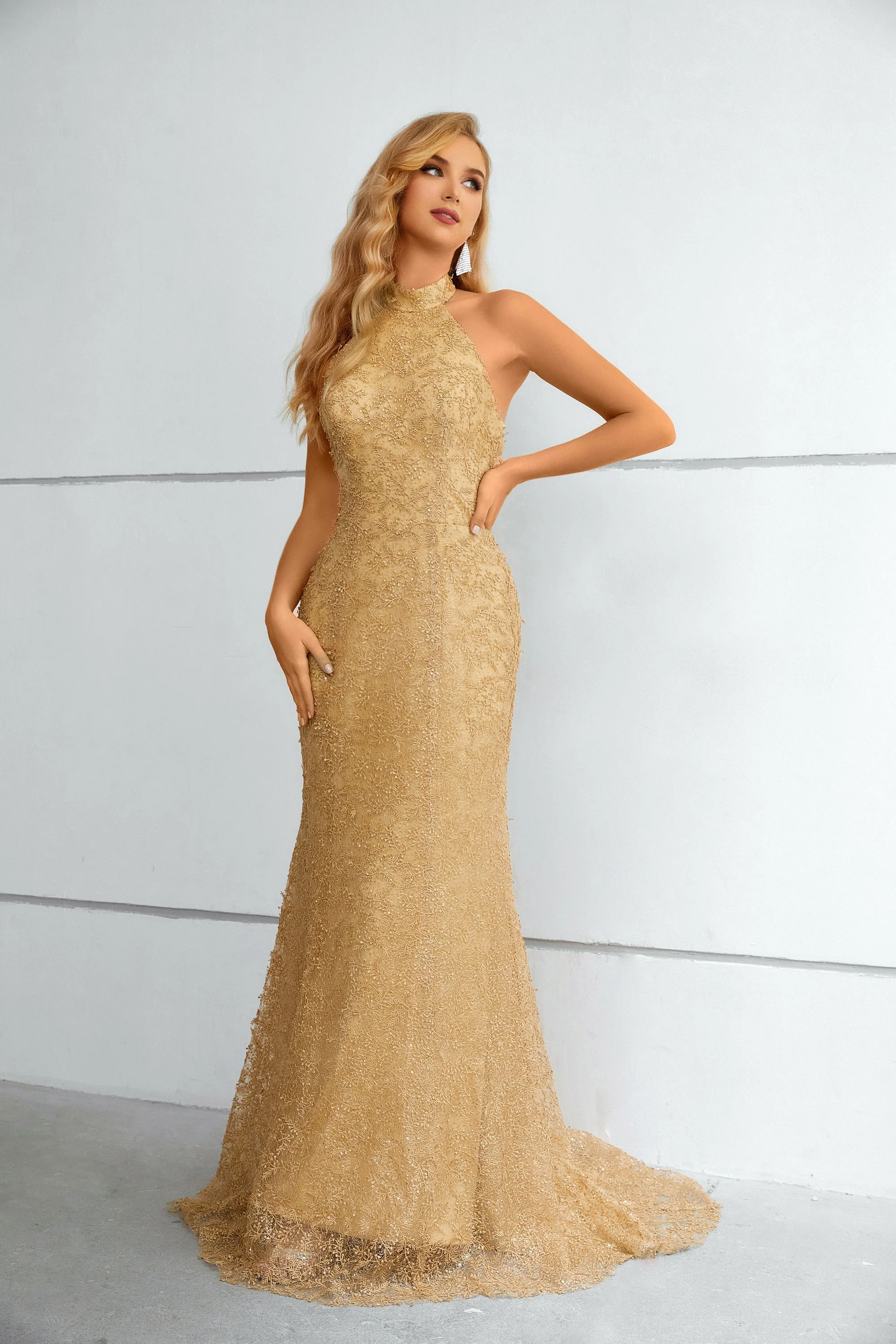 High Collar Mermaid Floor-length Sleeveless Backless Appliques Lace Modest Prom Dress - Image 3